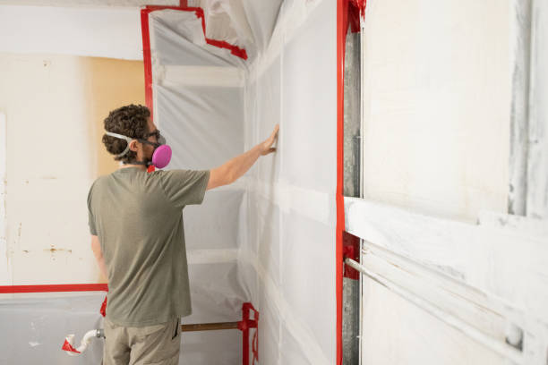 Mold Remediation for Vacation Homes in Seminole, TX